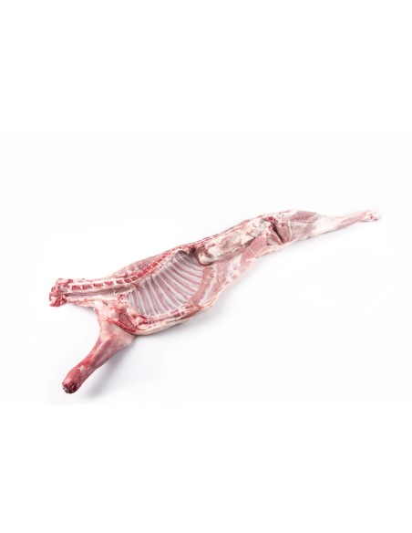 Comprar Cordero Lechal online - Lechazo | MM Salamanca