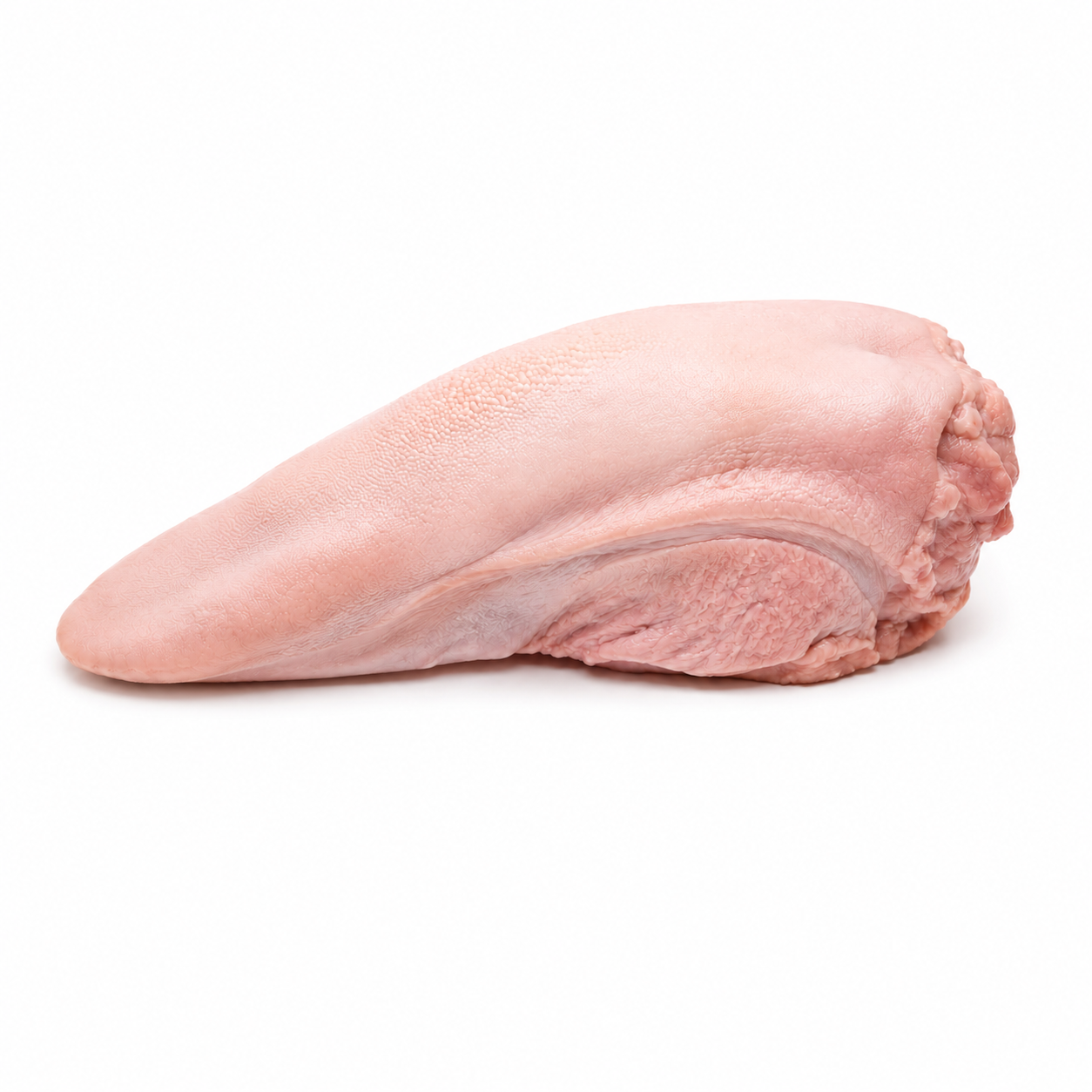Lengua de Cerdo