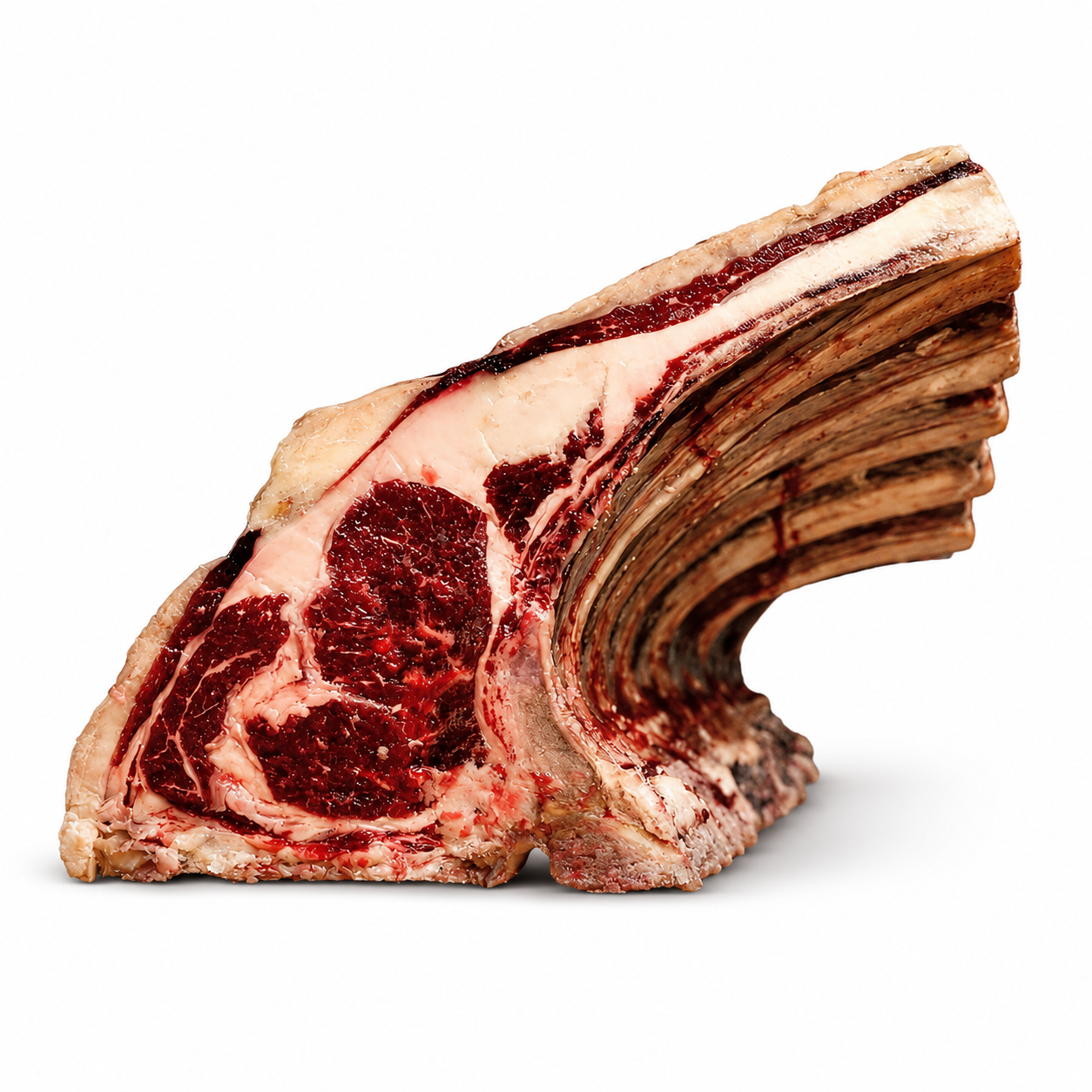 Aged Angus Ox Bone-in Ribeye