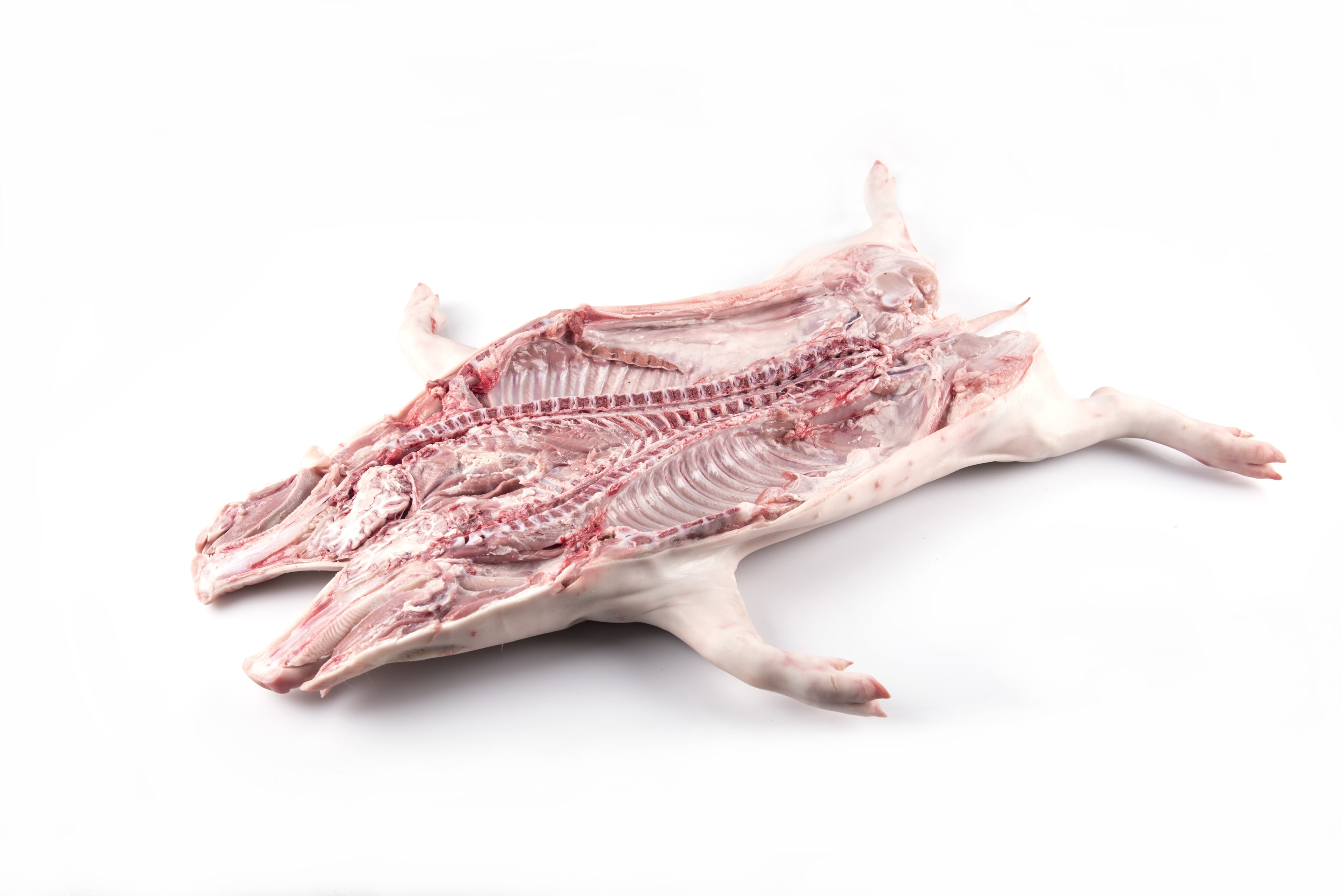 Suckling pig