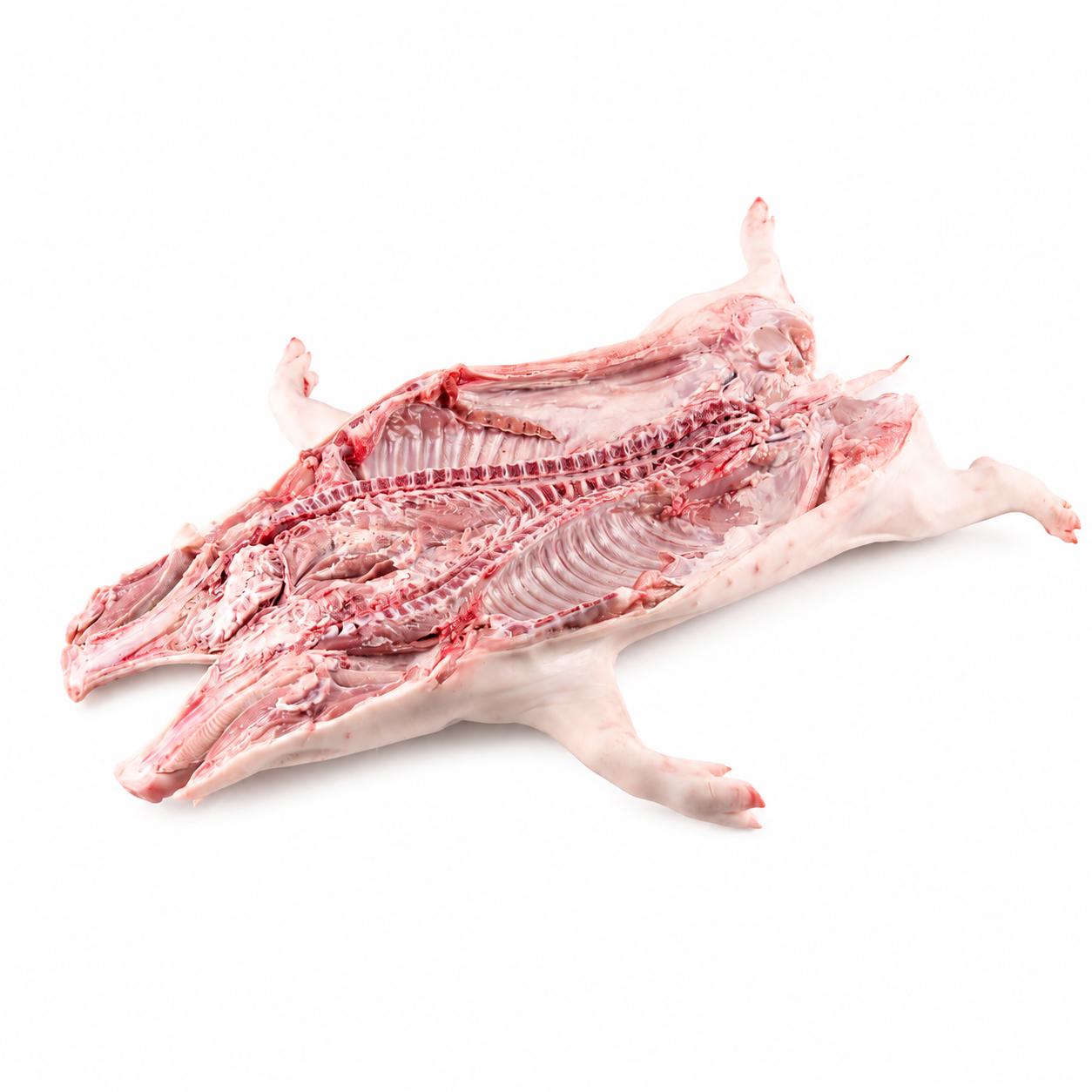 Suckling pig