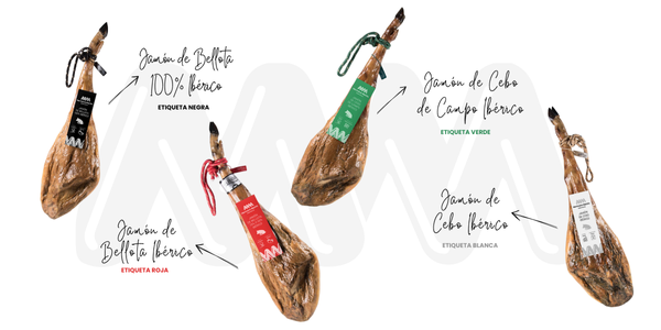 Etiquetas del jamón ibérico